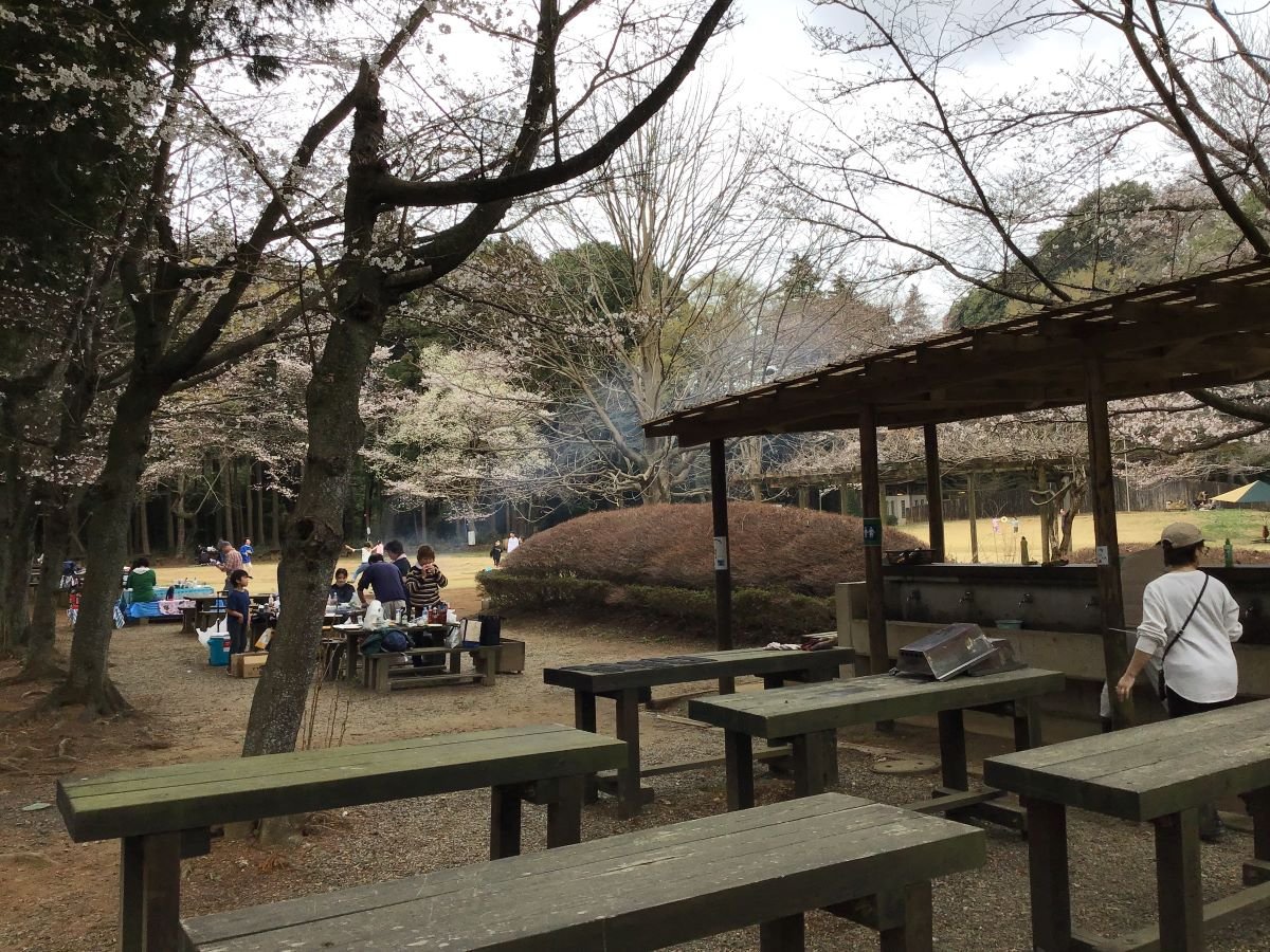 🌳 치바 현립 후나바시 현민의 숲(지바켄리쓰 후나바시켄민노모리) 이미지 8